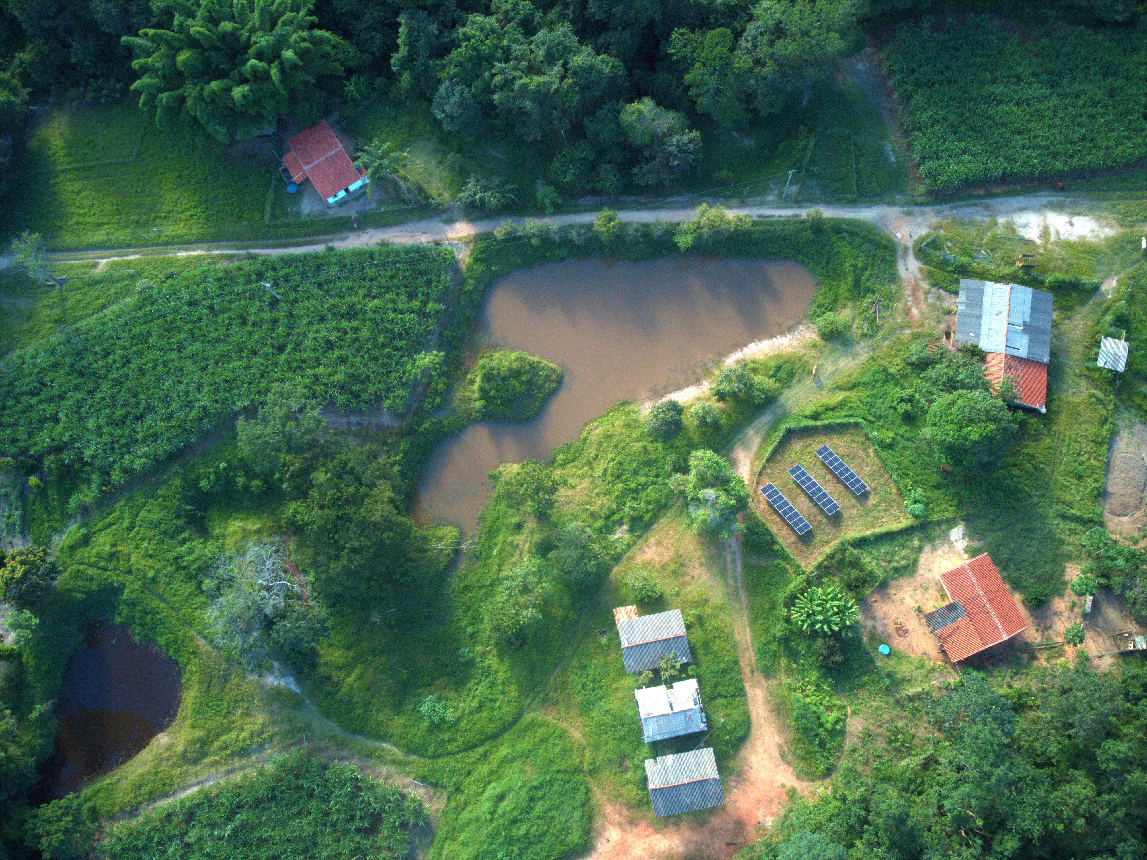 Fazenda Saracura - Virgem da Lapa MG